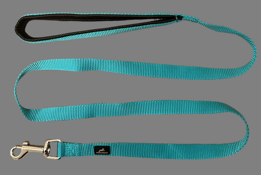 Sky blue nylon dog lead