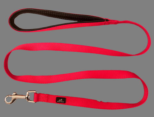 Red Nylon Dog Lead