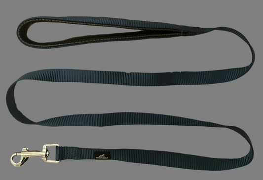 Navy nylon dog lead